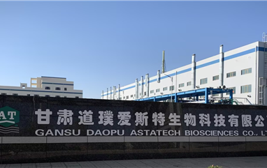 Gansu Jinchang Manufacturing Site